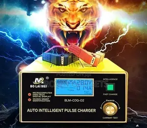 Car Battery Charger ,Intelligent Pulse Charger