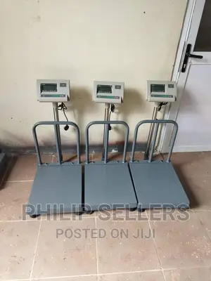 Digital Weighing Scale A12
