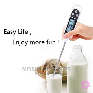Digital Food Thermometer