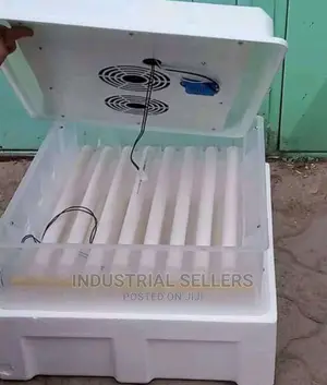 New Brand 56 Eggs Incubator
