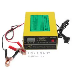 Avdance Best Selling Car Battery Charger E Rickshaw Battery