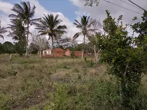 Golini One Acre on Sale.