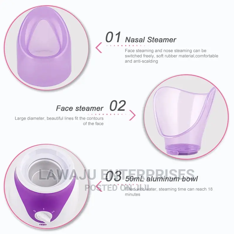 Facial Steamer