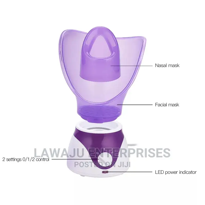 Facial Steamer
