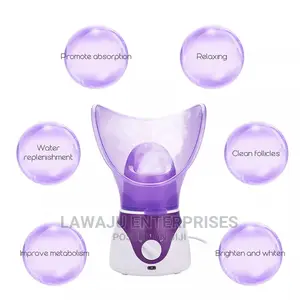 Facial Steamer