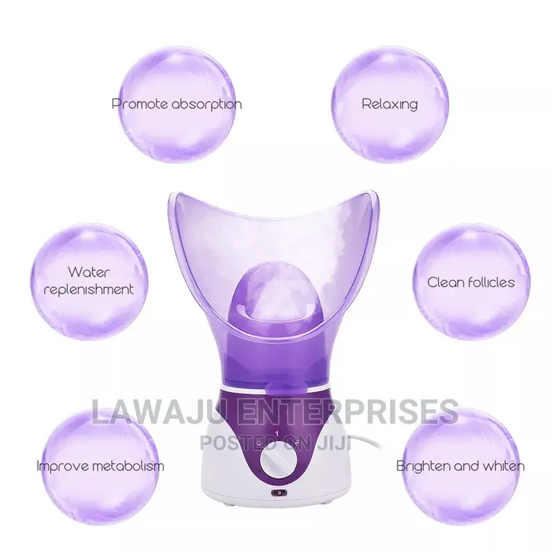 Facial Steamer