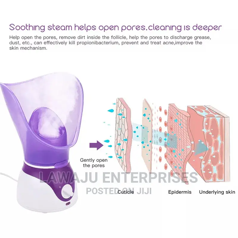 Facial Steamer
