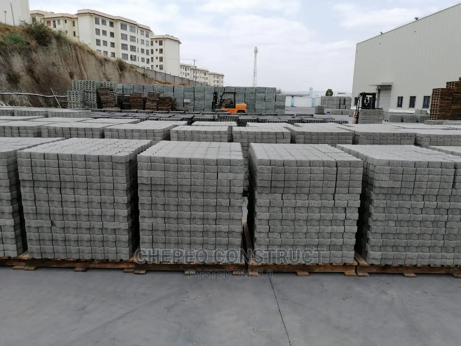 Quality Ordinary Paving Blocks