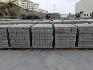 Quality Ordinary Paving Blocks