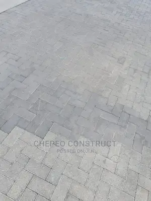 Quality Ordinary Paving Blocks