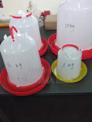 Chicken Drinkers