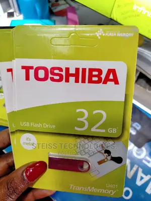 Toshiba Flash Drives