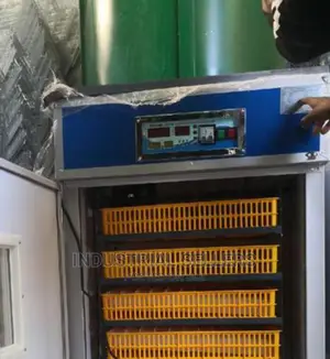 Best Quality 300 Eggs Incubator Machine