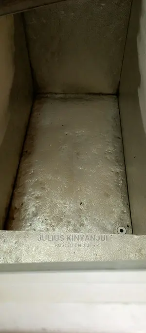 Showcase Freezer
