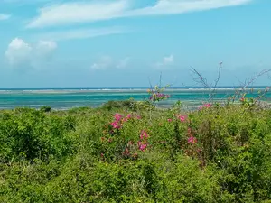 Two Acres Watamu Beachfront Land for Sale