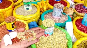 Simple CEREAL SHOP POS Point of Sale System