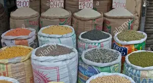 Cheaply Priced CEREAL SHOP POS Point of Sale System