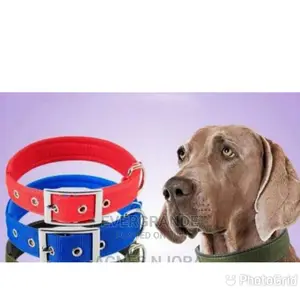 Dog Collar