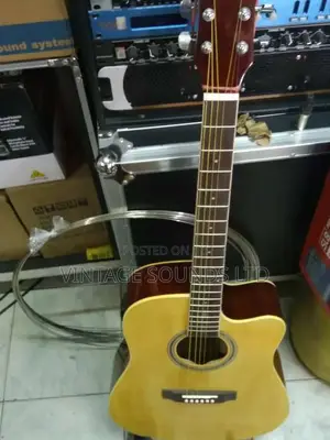 Semi Acoustic Box Guitar USA