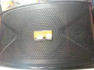 Professional Speaker-Billow 15"