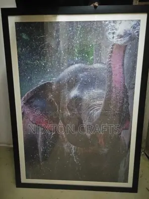 Frames Art A0 With Art