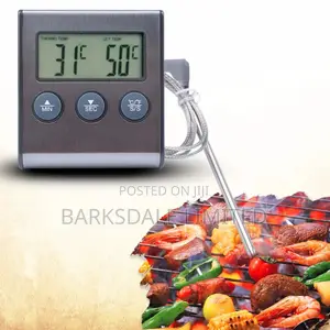 Probe Meat BBQ Thermometer Timer Instant Smoke Kitchen Alarm