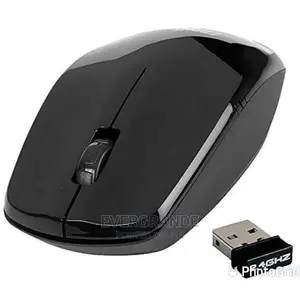 Wireless Mouse