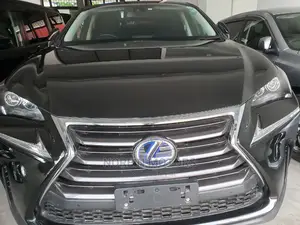 Lexus NX 2016 Matt Black