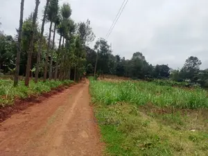 Nyeri/New Ringroad 50/100 Plot on Sale
