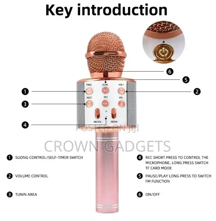 3 in 1 Multi-Function Handheld Wireless Karaoke