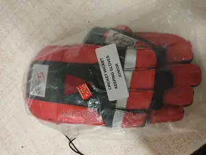 Pair of Cricket Wicket Keeping Gloves Junior/Youth