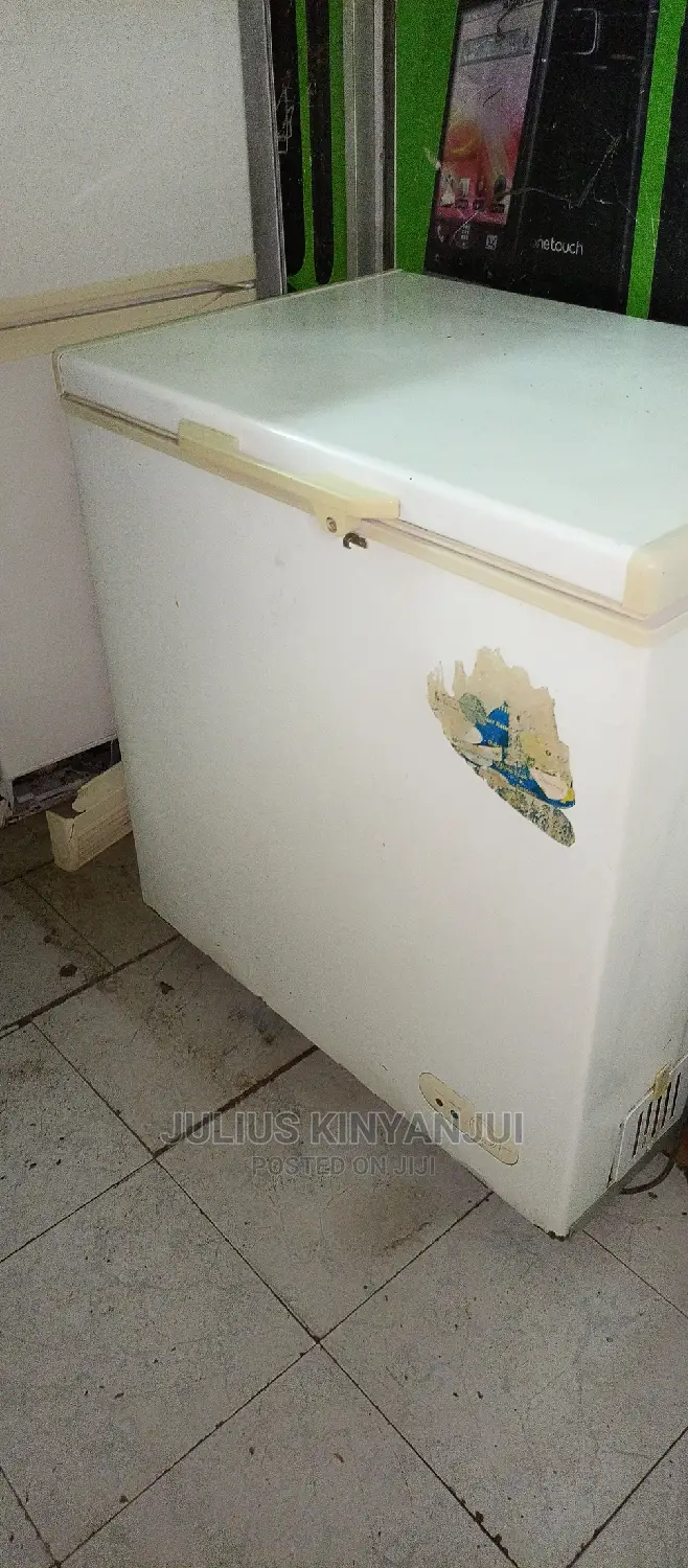 Deep Freezer 250L