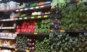 Newly Endorsed Grocery Shop Enhanced Point of Sale System