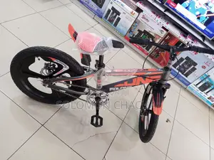 Adult Bike Size 20