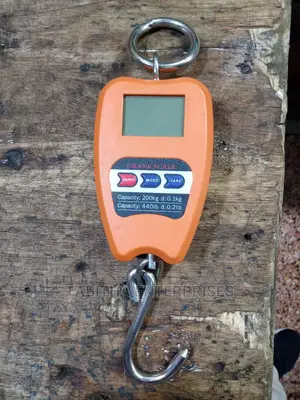 Mini Crane 200kg
