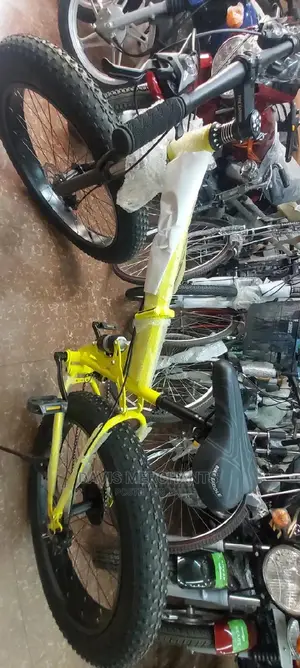 Sports Foldable Fat Bike