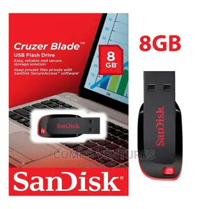 San Disk Flash Drive