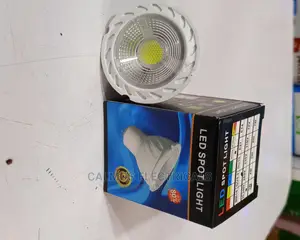 Spot Light LED Bulb