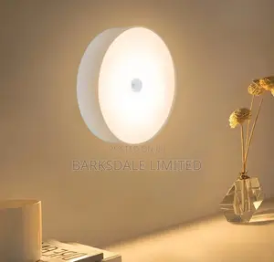 LED Night Light Lamp USB Rechargeable Motion Sensor Intellig