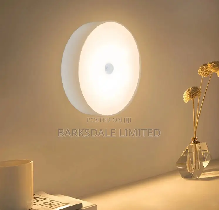 LED Night Light Lamp USB Rechargeable Motion Sensor Intellig