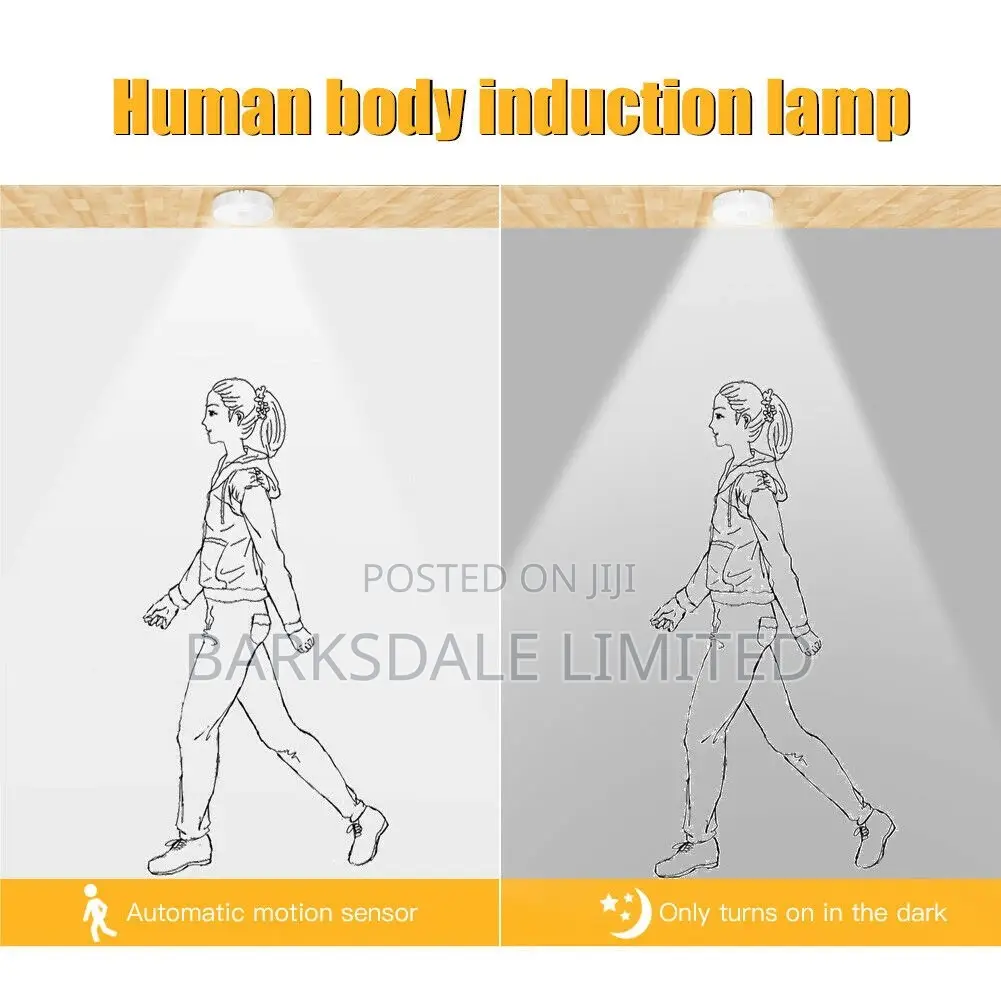LED Night Light Lamp USB Rechargeable Motion Sensor Intellig