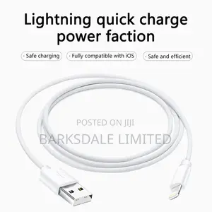 Phone Lightning Data USB Fast Charger Cable iPhone Apple