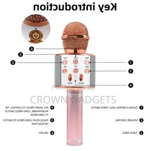 Professional Wireless Microphone Speaker For Parties