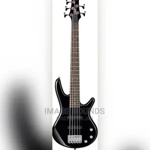 Bass Guitar 5 String