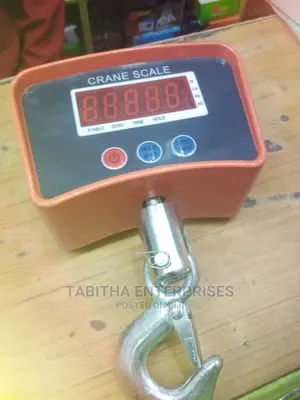 500kg Crane Scale