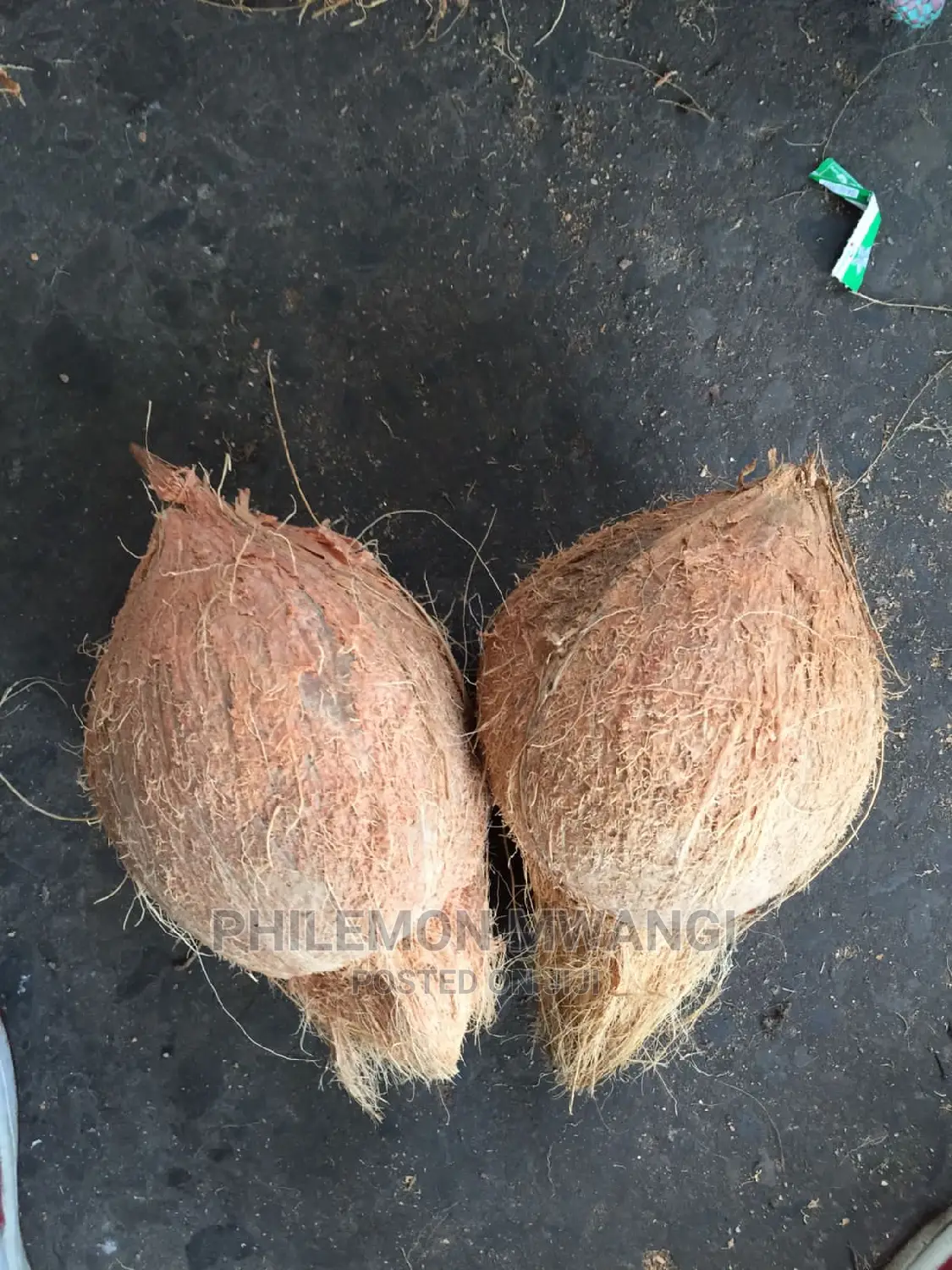Fresh Coconuts for Sale