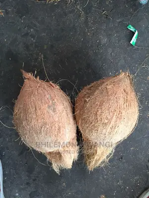 Fresh Coconuts for Sale
