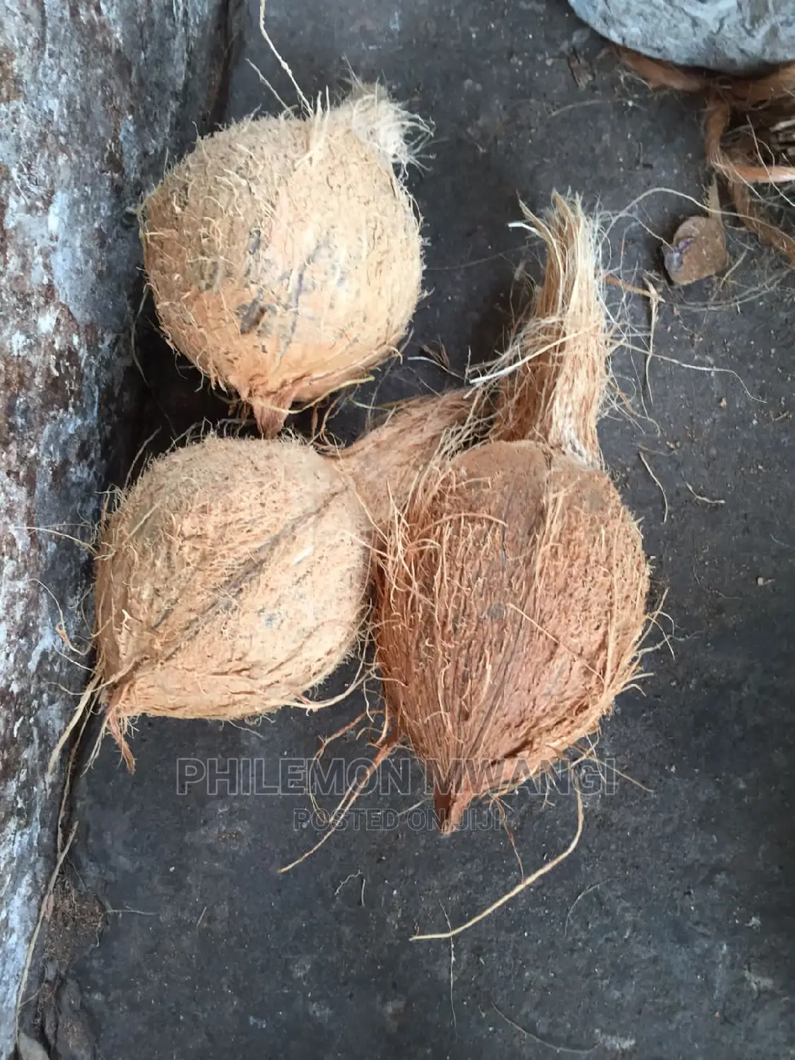 Fresh Coconuts for Sale