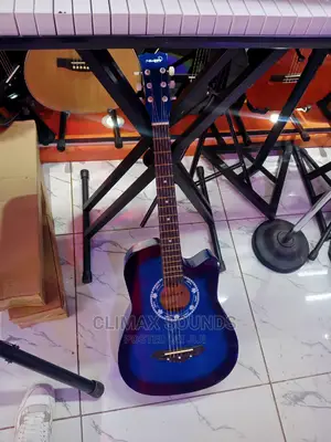Acoustic Guitarz