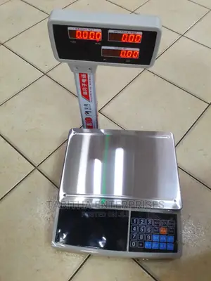 Electronic Digital Scale 30kg
